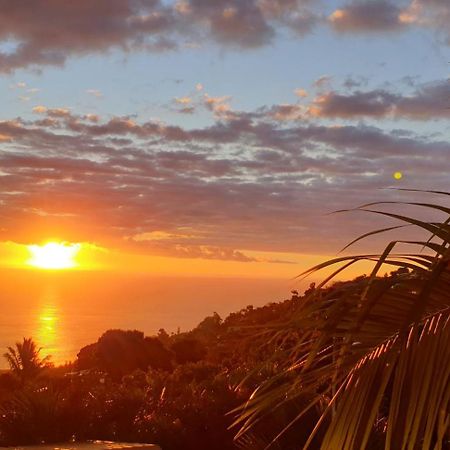 Le Chalet - Destination St-Leu Saint-Leu Luaran gambar